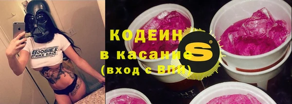 спиды Богородицк