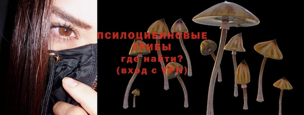 экстази Богданович