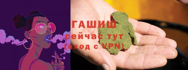 спиды Богородицк
