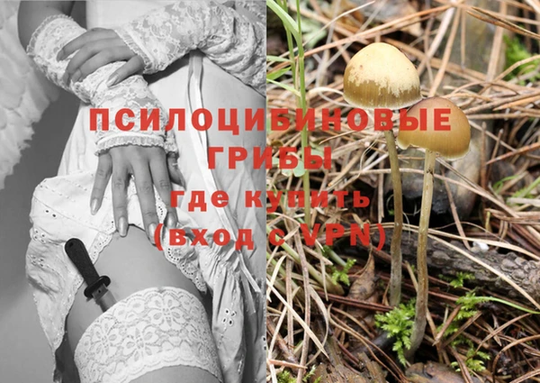 спиды Богородицк