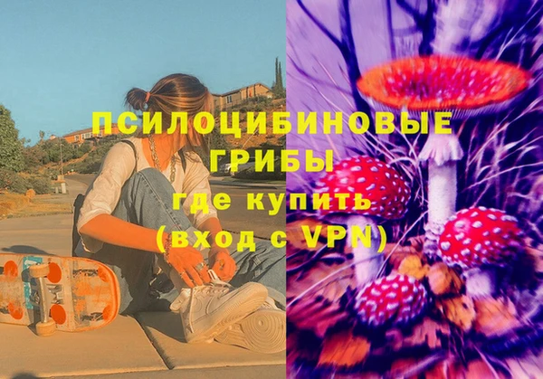 экстази Богданович