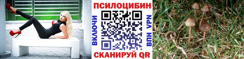 Псилоцибиновые грибы мицелий  Княгинино 